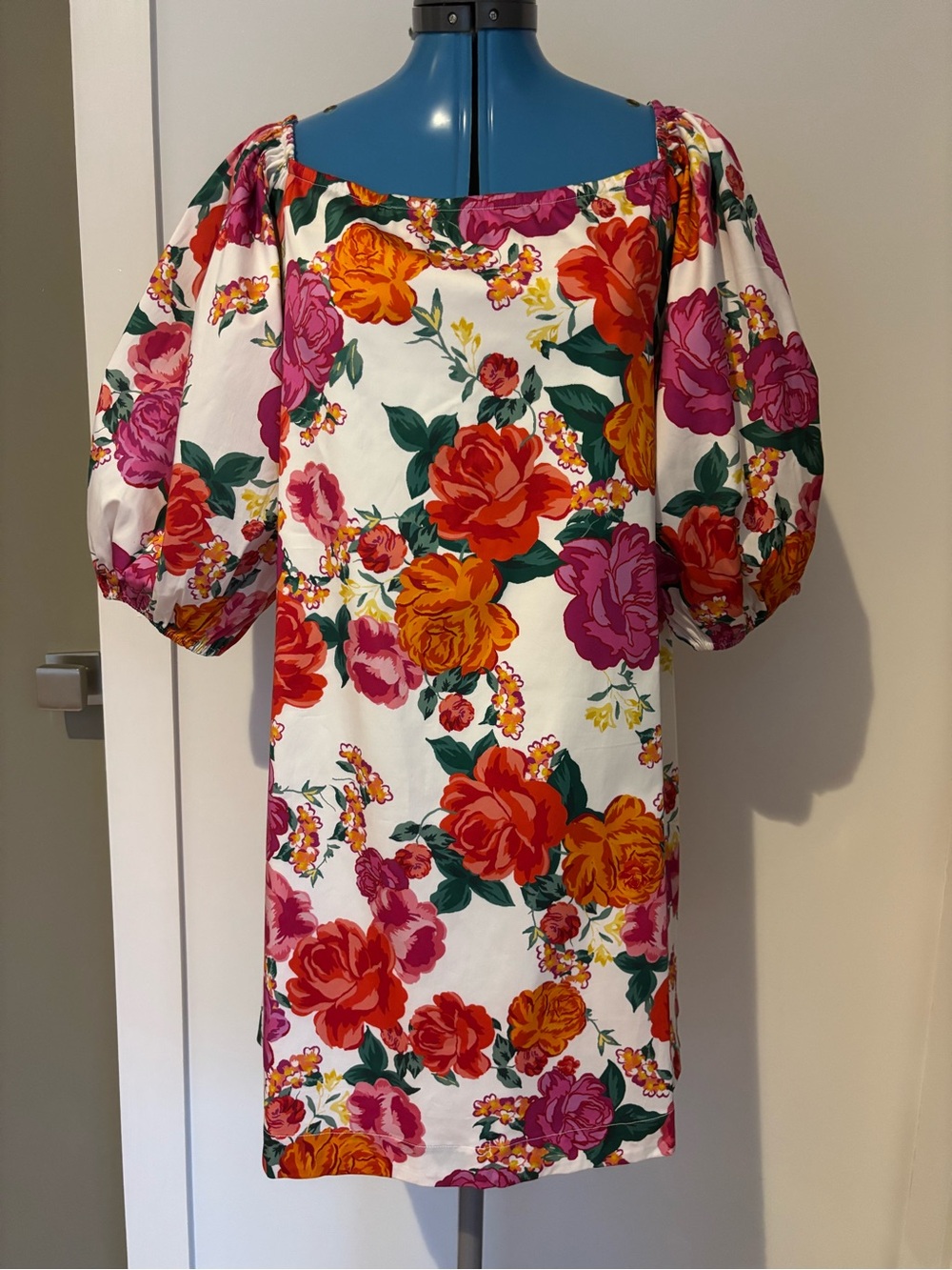 Hermoza Felicity Rosa Romantica Floral Puff Sleeve Dress L NWT